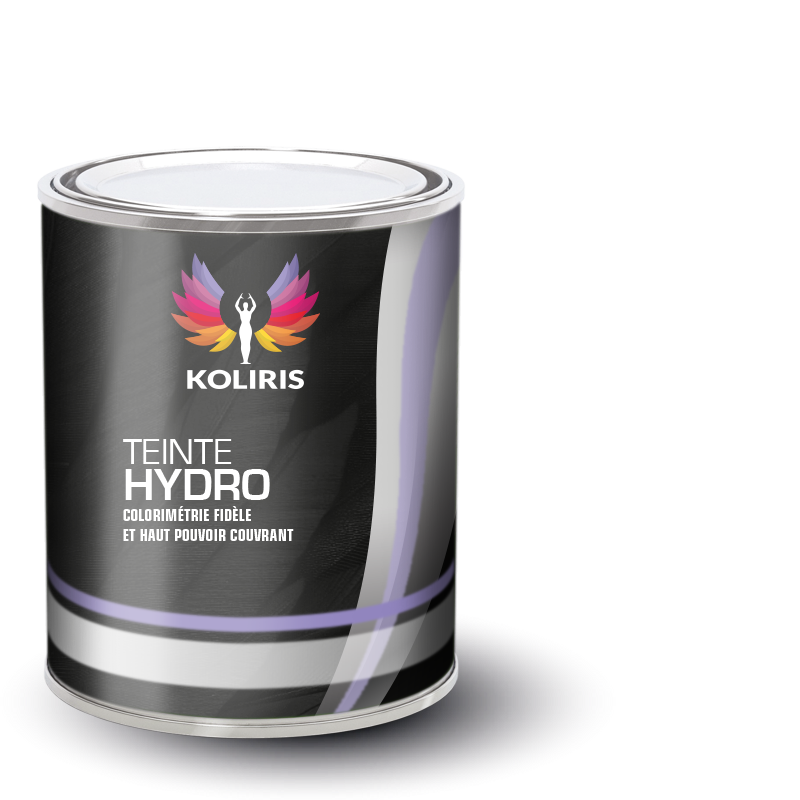 Peinture voiture hydro Rivian