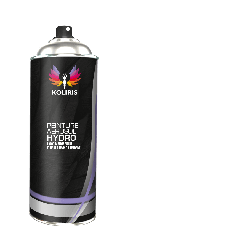 Bombe de peinture voiture hydro Mini 400ml