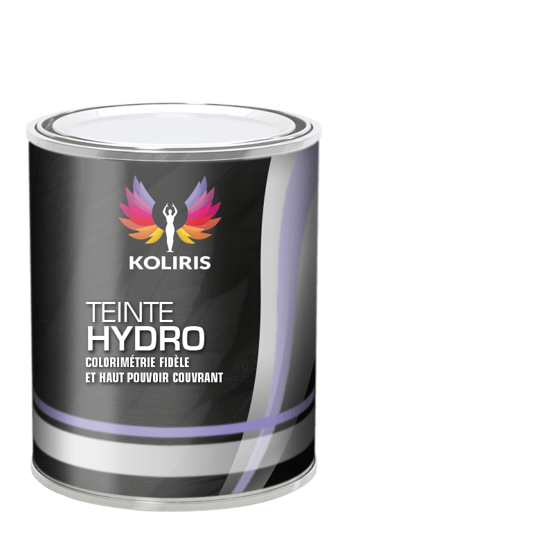 Peinture voiture hydro Aixam