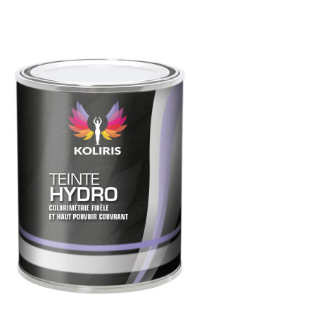 Peinture voiture hydro Aixam